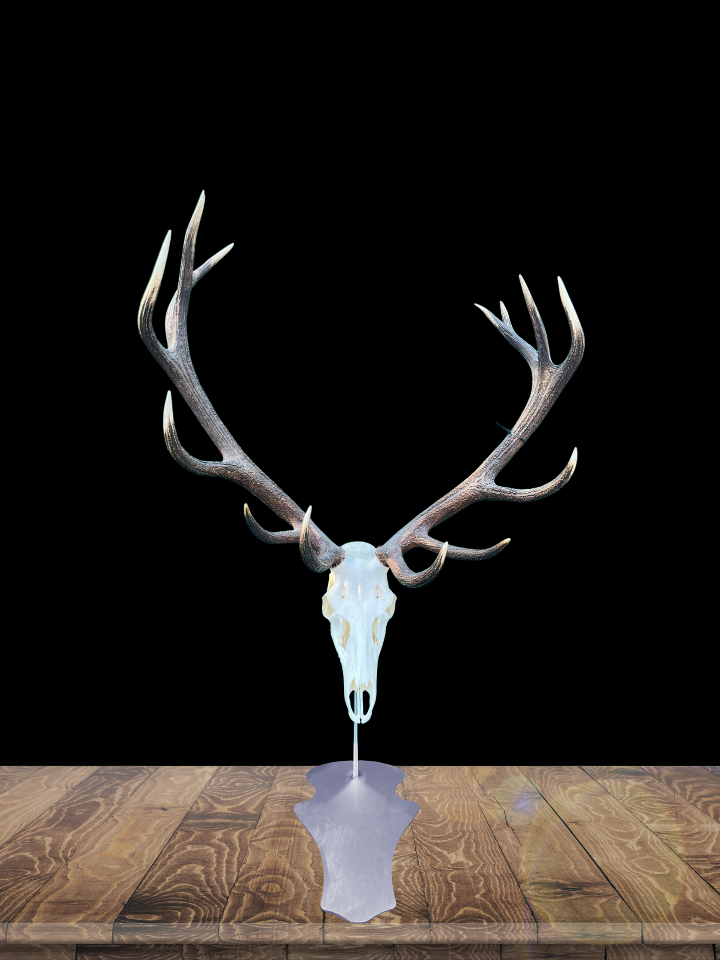 Socle Porte-Trophées "Cerf en Piédestal" – Inox Brossé, Design Majestueux